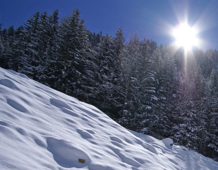 skiurlaub apartment kappl paznaun landschaft