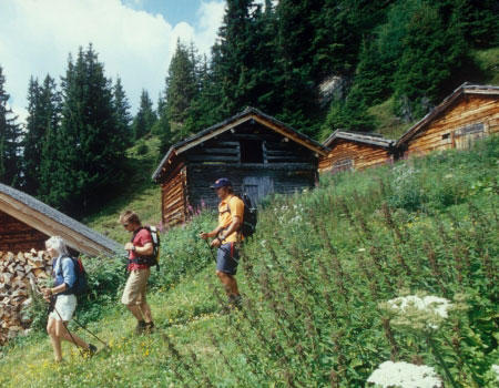 sommer wandern apartment kappl paznaun